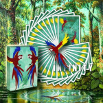 Infinity Playing Cards Oyun Kartı Difatta