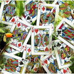 Infinity Playing Cards Oyun Kartı Difatta