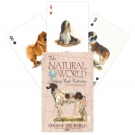 The Natural World Serisi: Dogs of the World İskambil Destesi