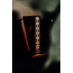 Piracy Oyun Kartı - theory11