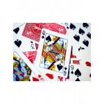 Bicycle Rider Back Standart Index İkili Paket Satış - Kırmızı Mavi