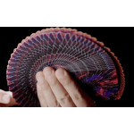 Bicycle Stargazer Falling Star Oyun Kartları