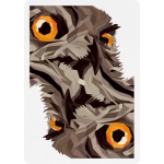 The Watcher İskambil Destesi