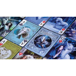 Bicycle Anne Stokes Unicorns Oyun Kartları