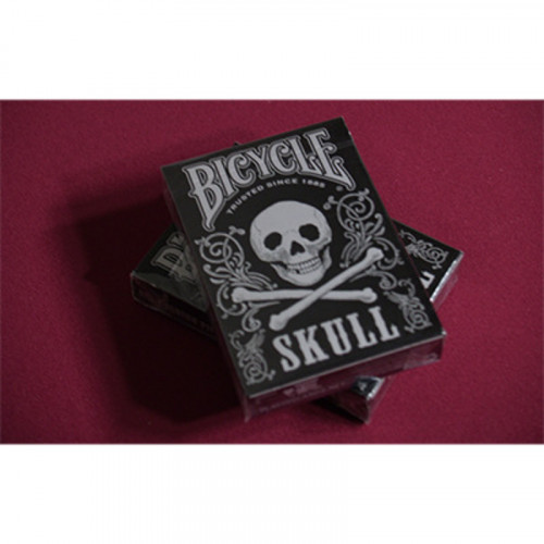 Bicycle Skull Metallic Silver Playing Cards – Gambler’s Warehouse Bicycle Skull Metallic Silver Playing Cards – Gambler’s Warehouse
