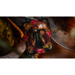 Limited Edition Bicycle Dark Templar Playing Cards