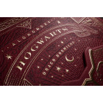 Harry Potter Premium Box Set Oyun Kartı