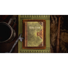 Bicycle Robin Hood Oyun Kartları